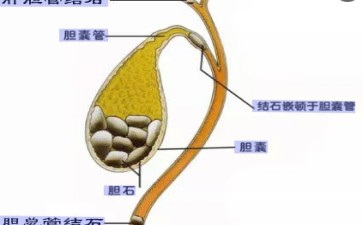 微信截图_20241121152311.jpg