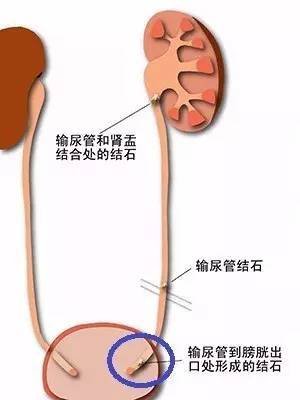 t0159db401e778eb77f.jpg